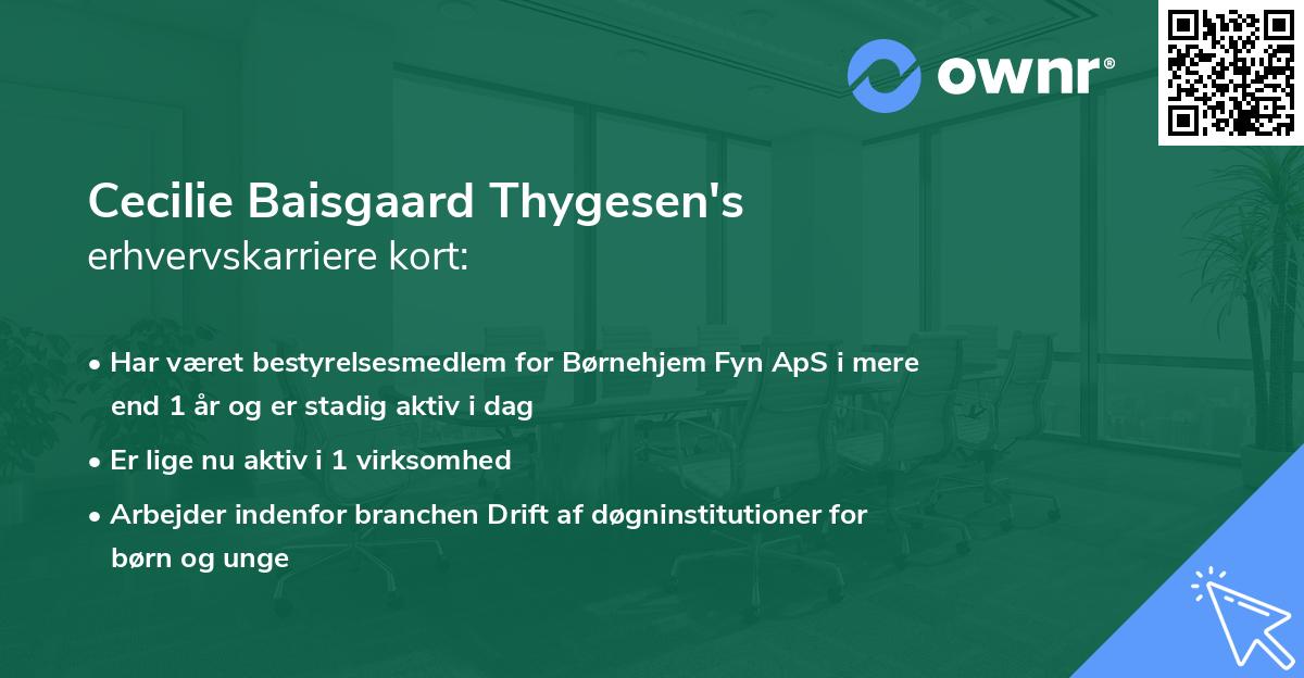 Cecilie Baisgaard Thygesen's erhvervskarriere kort