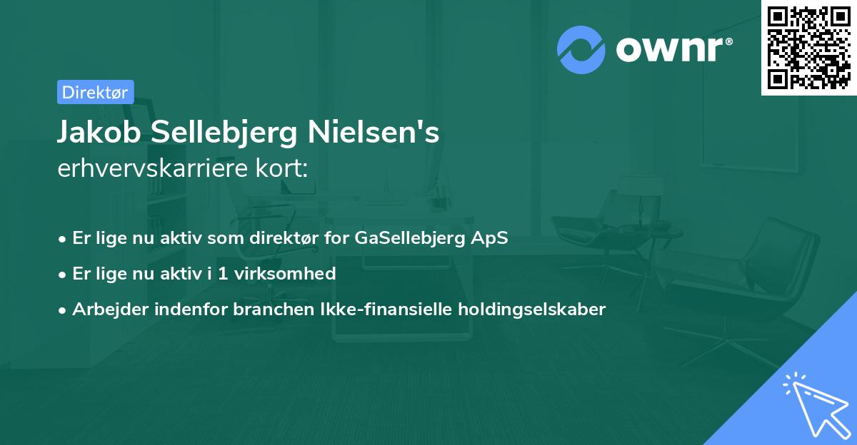 Jakob Sellebjerg Nielsen's erhvervskarriere kort