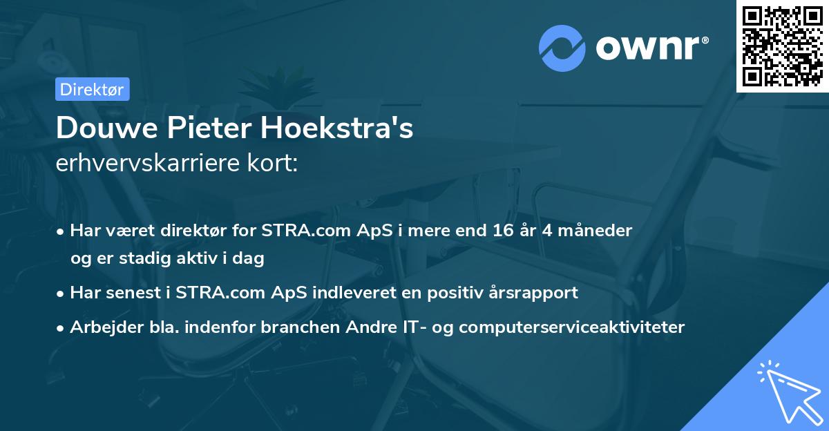 Douwe Pieter Hoekstra's erhvervskarriere kort