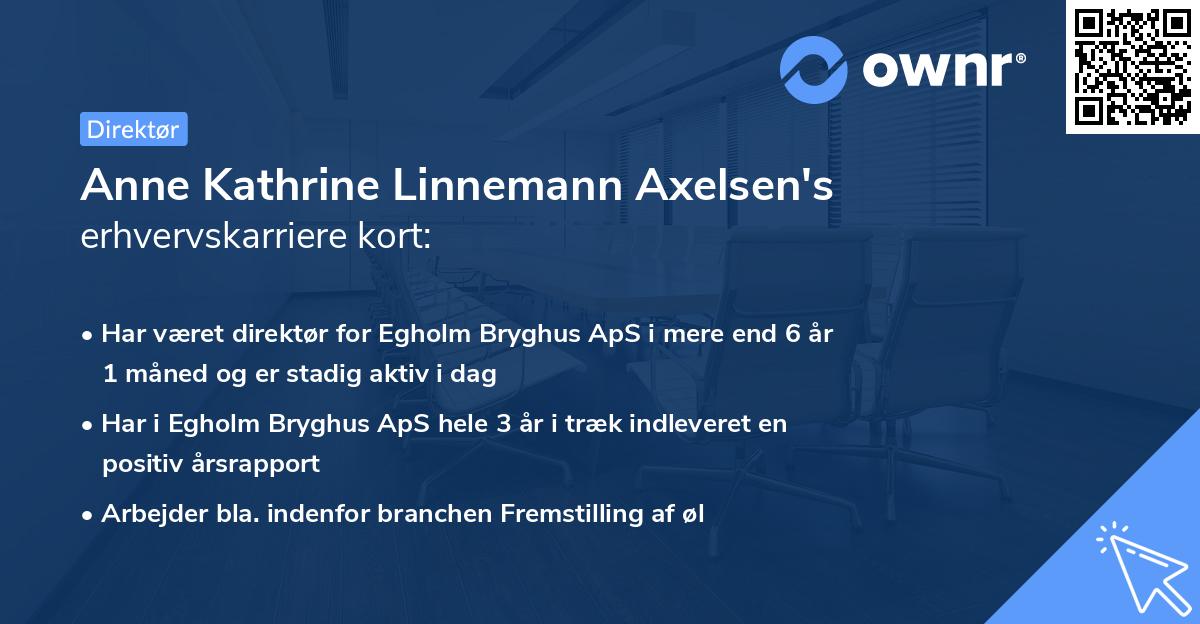 Anne Kathrine Linnemann Axelsen's erhvervskarriere kort