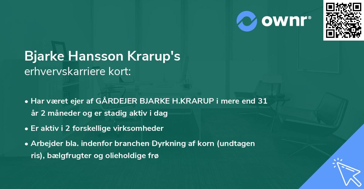 Bjarke Hansson Krarup's erhvervskarriere kort