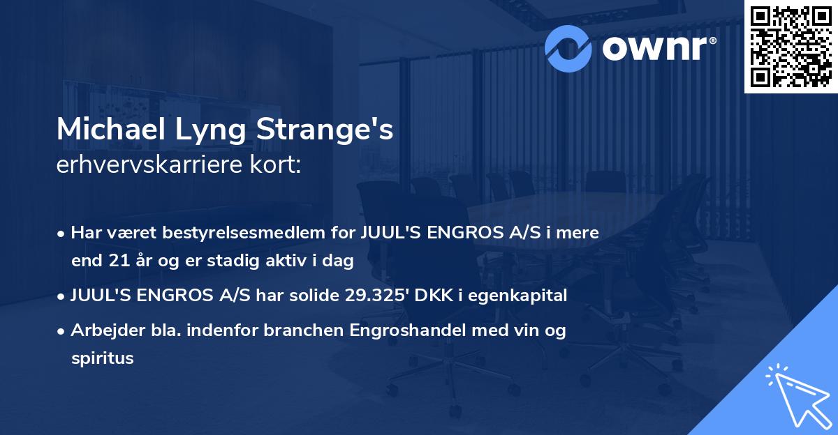 Michael Lyng Strange's erhvervskarriere kort