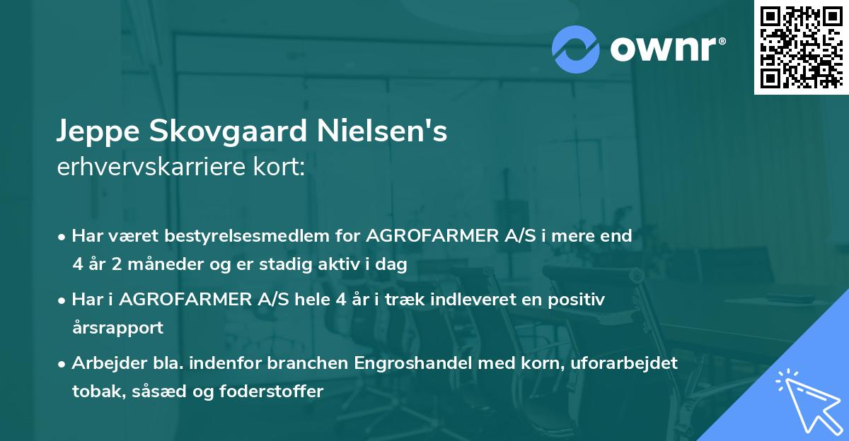 Jeppe Skovgaard Nielsen's erhvervskarriere kort