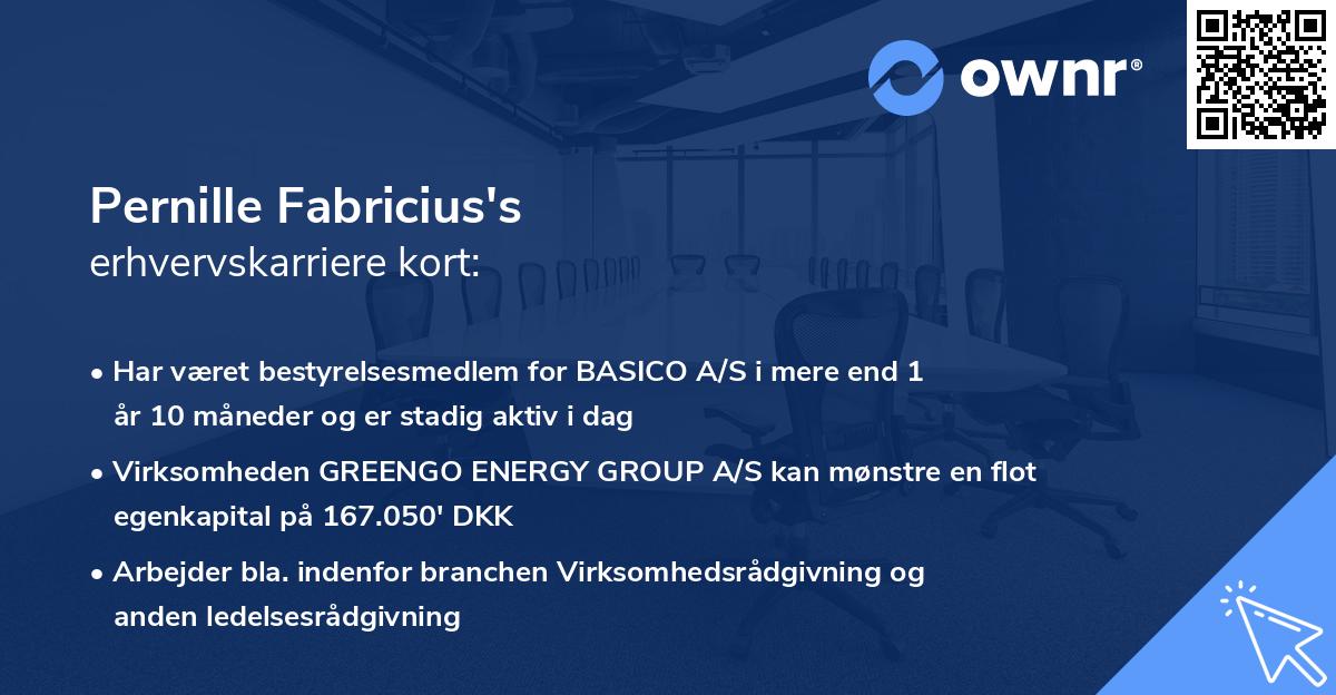 Pernille Fabricius's erhvervskarriere kort