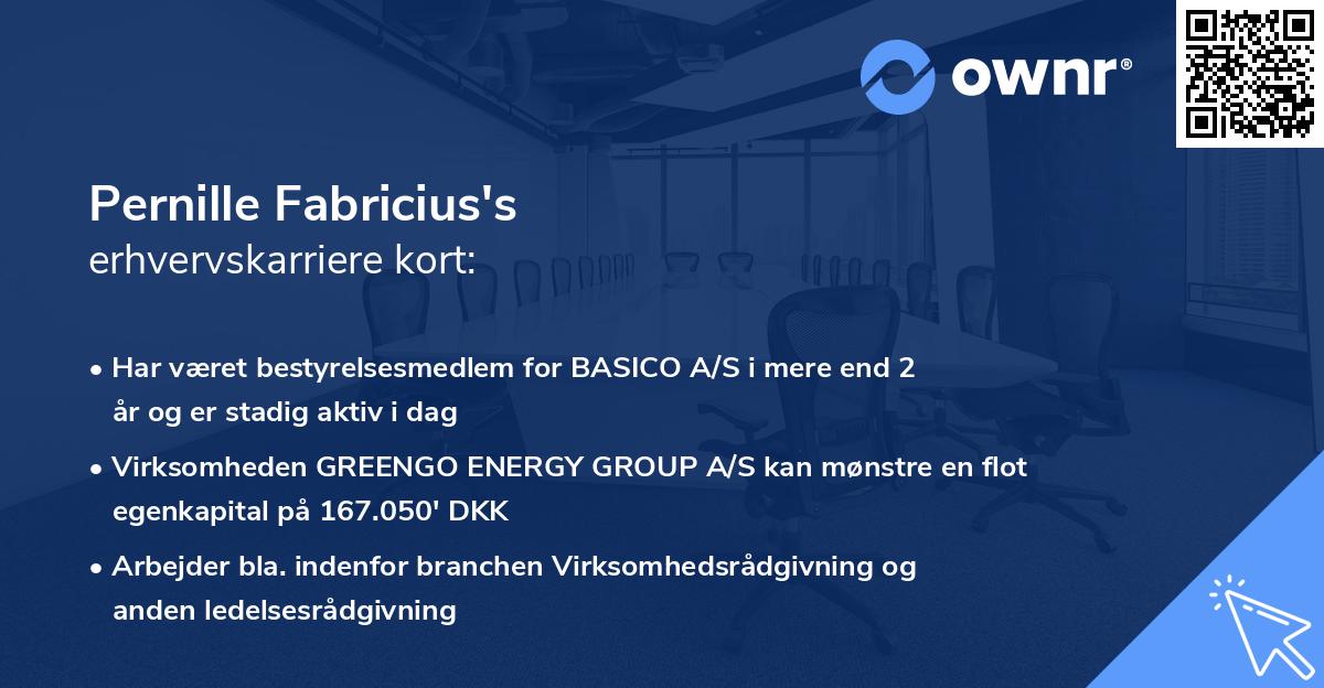 Pernille Fabricius's erhvervskarriere kort