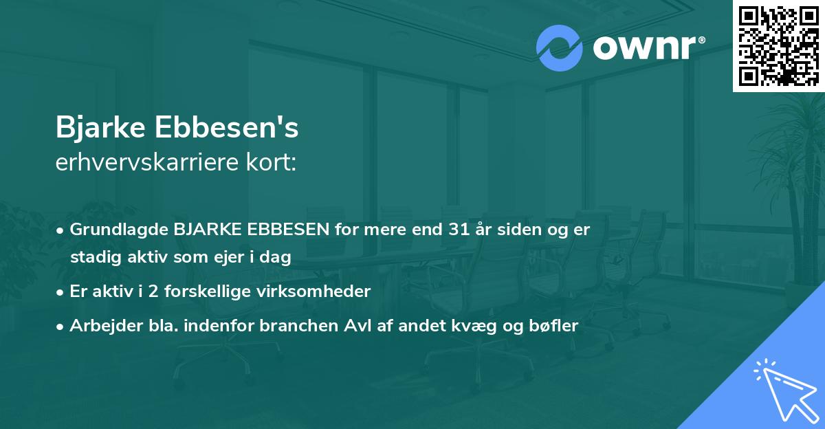 Bjarke Ebbesen's erhvervskarriere kort