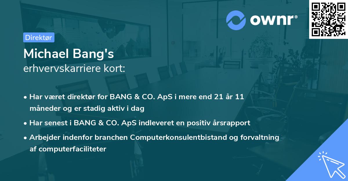 Michael Bang's erhvervskarriere kort
