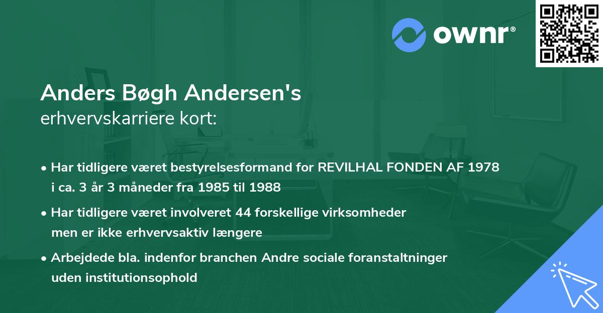 Anders Bøgh Andersen's erhvervskarriere kort