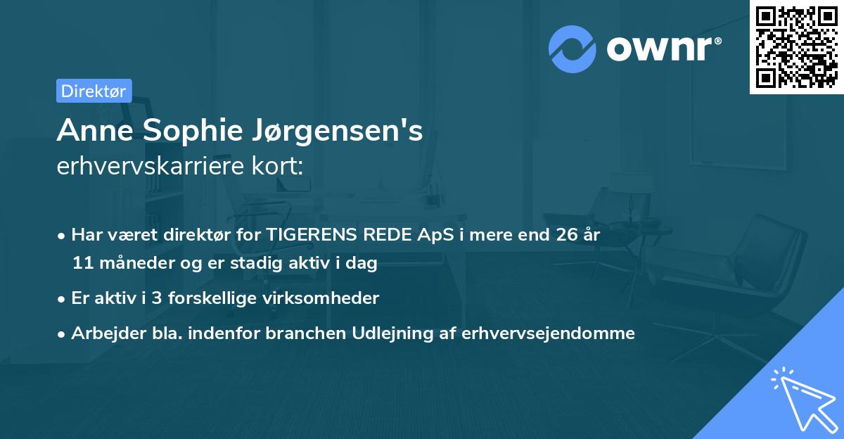 Anne Sophie Jørgensen's erhvervskarriere kort