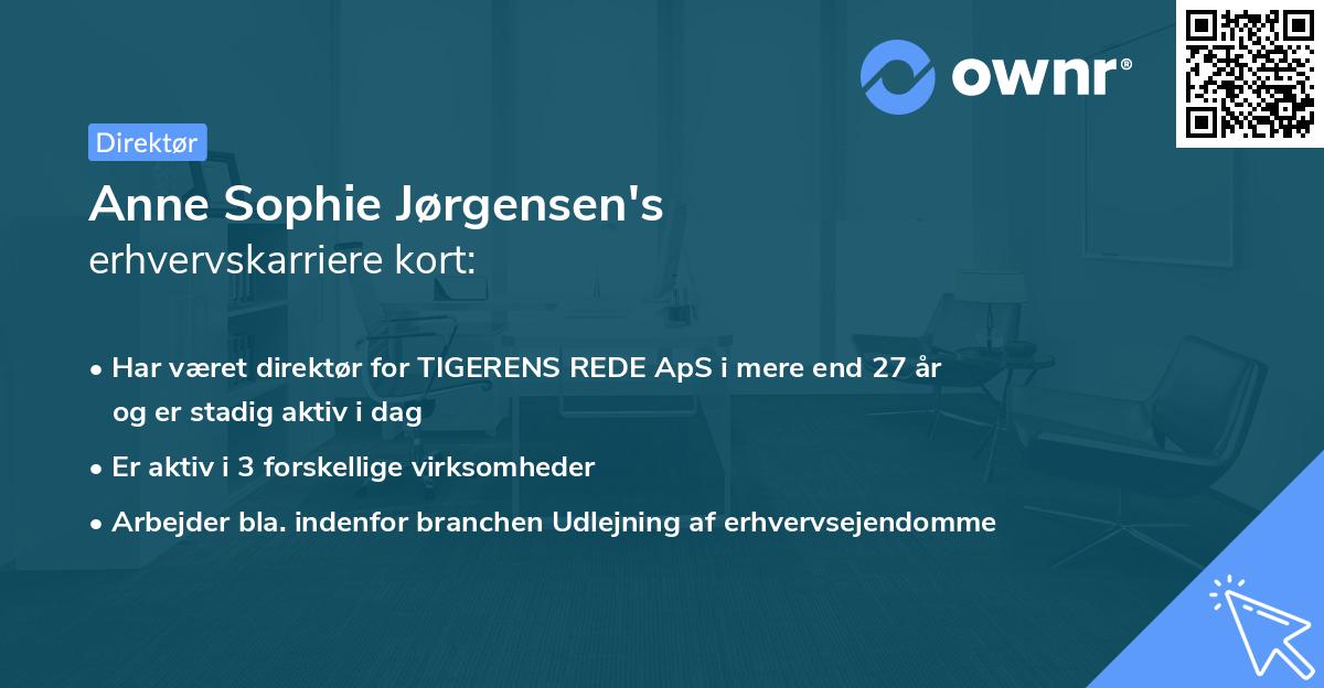 Anne Sophie Jørgensen's erhvervskarriere kort