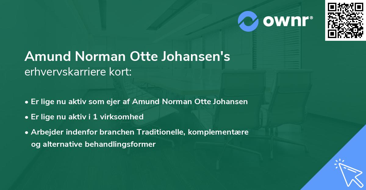 Amund Norman Otte Johansen's erhvervskarriere kort