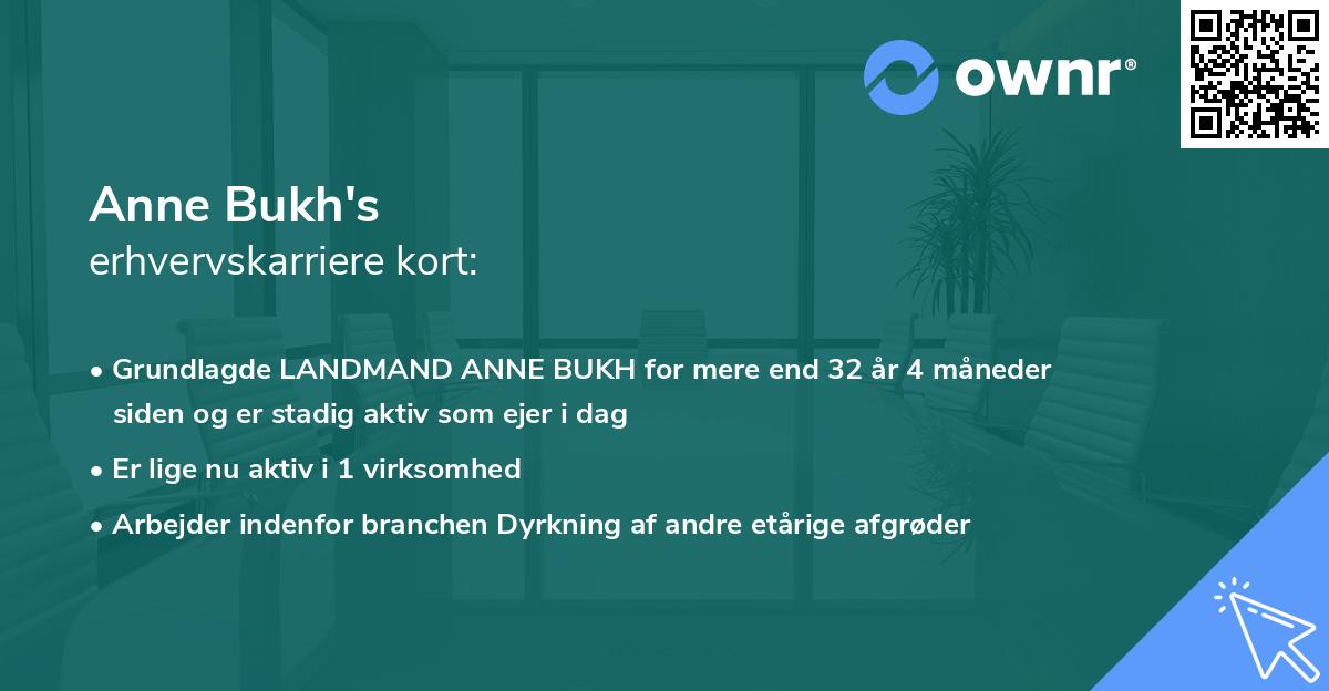 Anne Bukh's erhvervskarriere kort