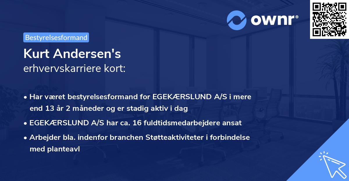 Kurt Andersen's erhvervskarriere kort
