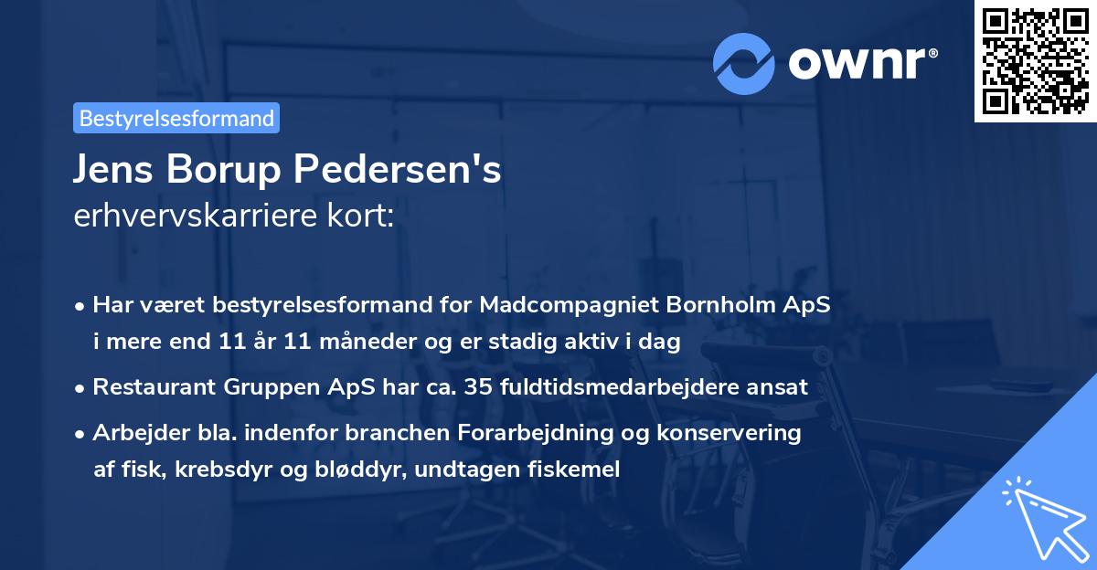 Jens Borup Pedersen's erhvervskarriere kort