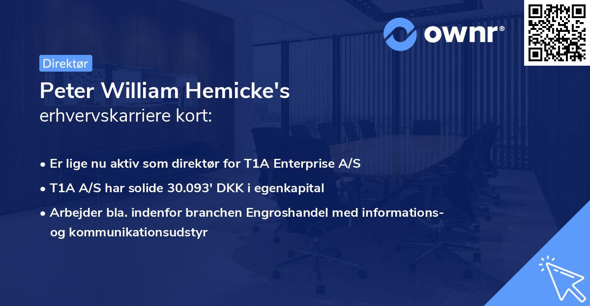 Peter William Hemicke's erhvervskarriere kort