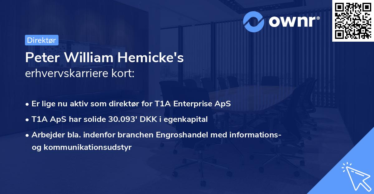 Peter William Hemicke's erhvervskarriere kort