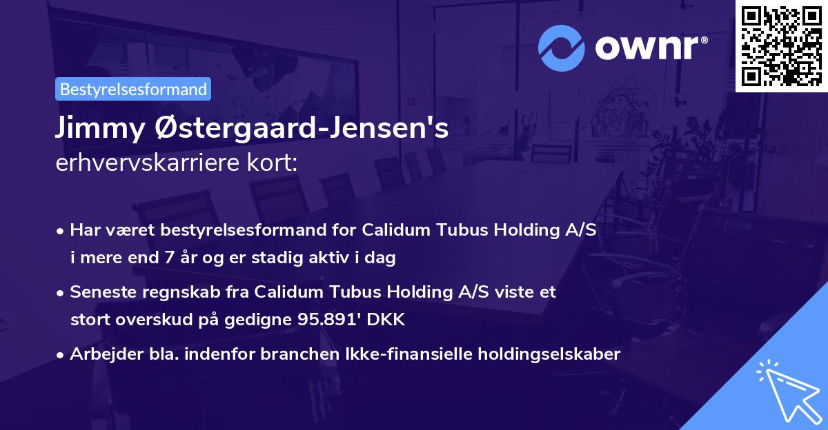 Jimmy Østergaard-Jensen's erhvervskarriere kort