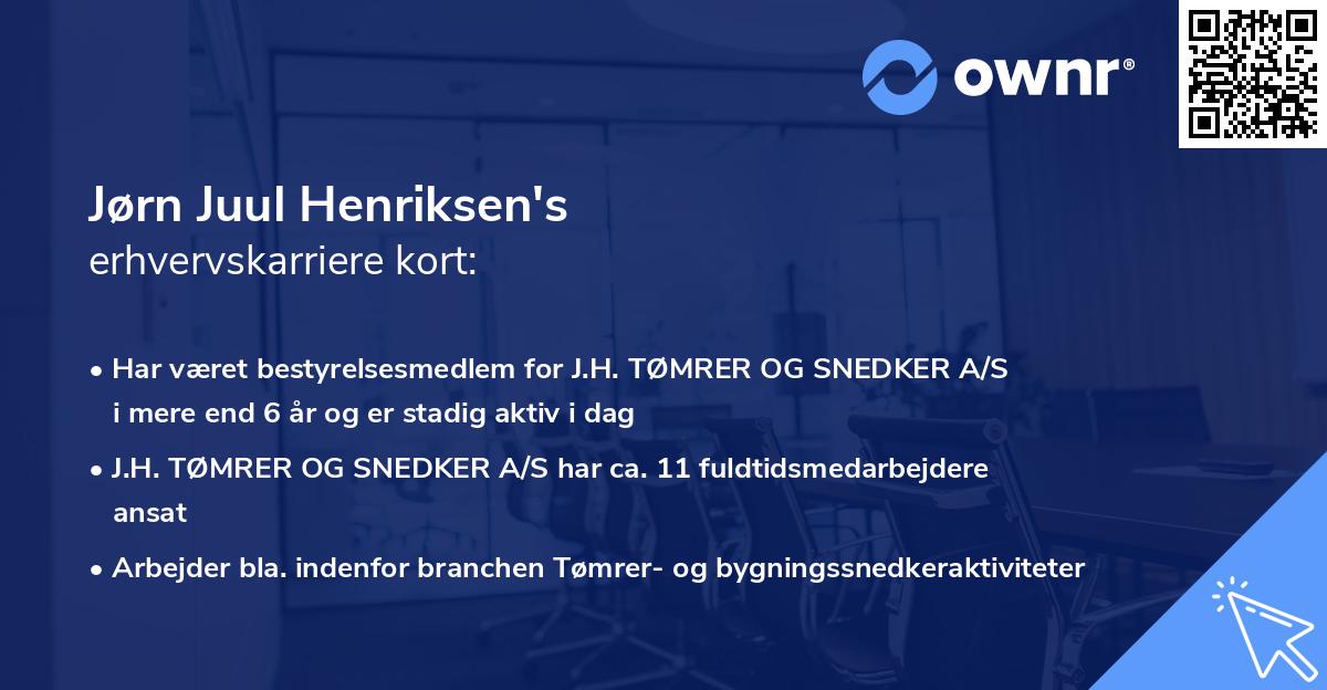 Jørn Juul Henriksen's erhvervskarriere kort