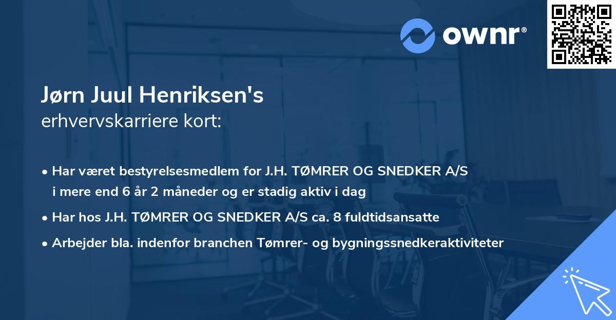 Jørn Juul Henriksen's erhvervskarriere kort