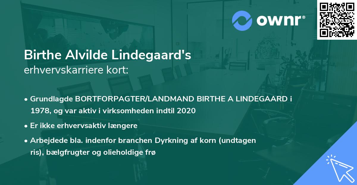 Birthe Alvilde Lindegaard's erhvervskarriere kort