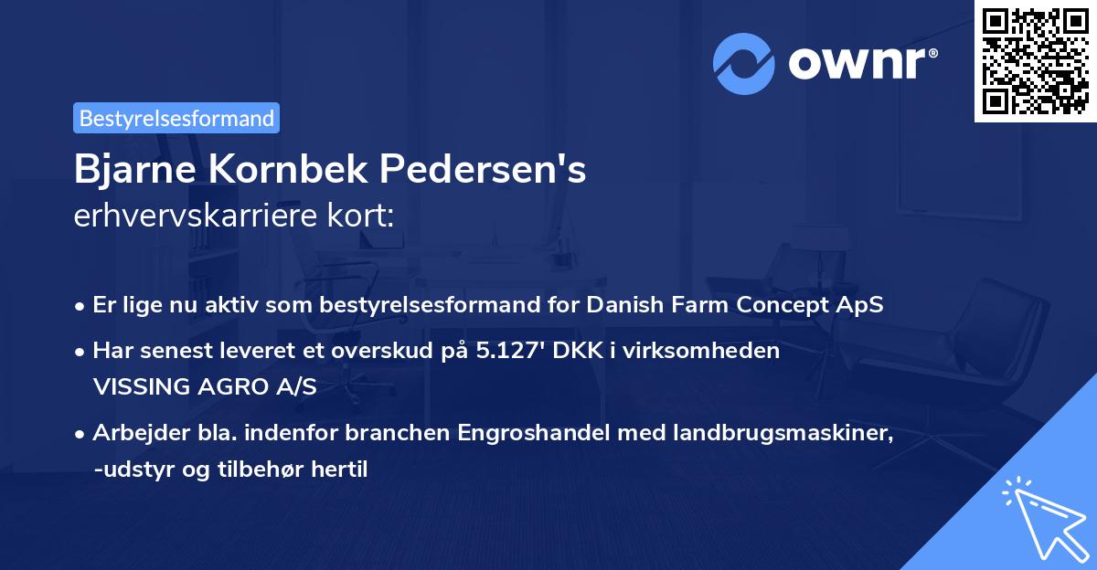 Bjarne Kornbek Pedersen's erhvervskarriere kort