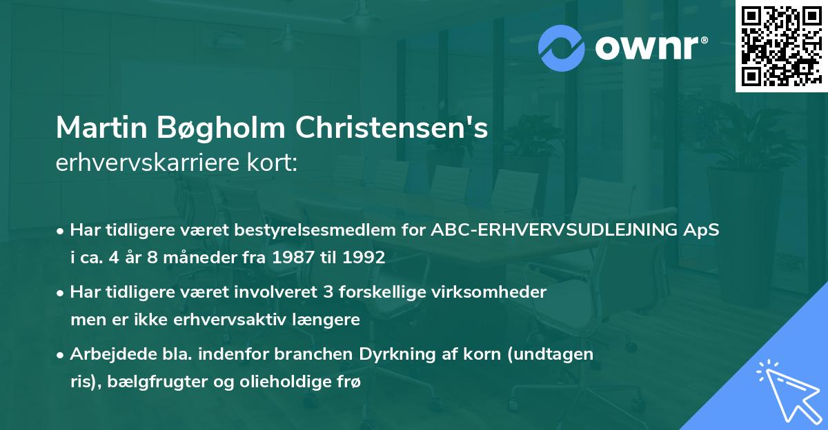 Martin Bøgholm Christensen's erhvervskarriere kort