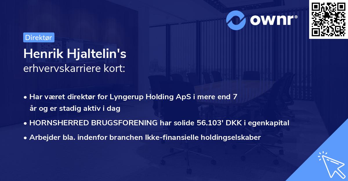 Henrik Hjaltelin's erhvervskarriere kort