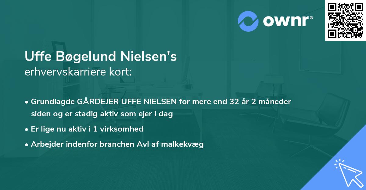 Uffe Bøgelund Nielsen's erhvervskarriere kort