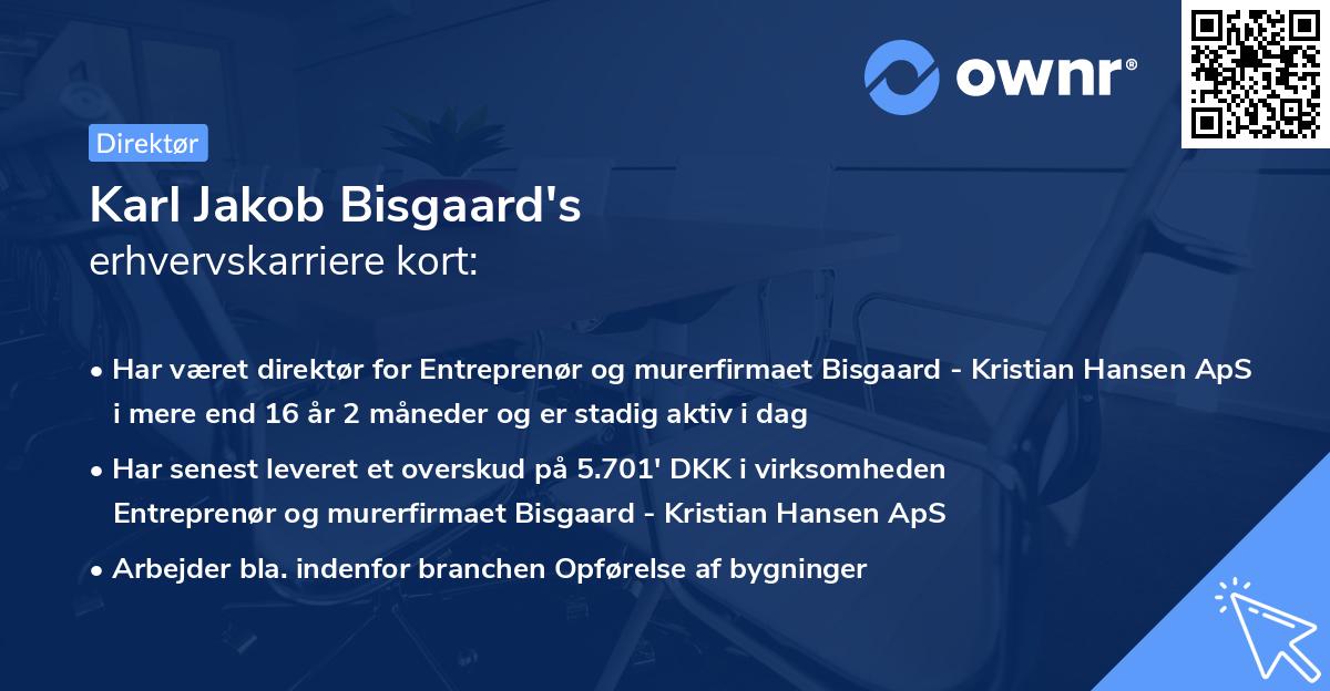 Karl Jakob Bisgaard's erhvervskarriere kort