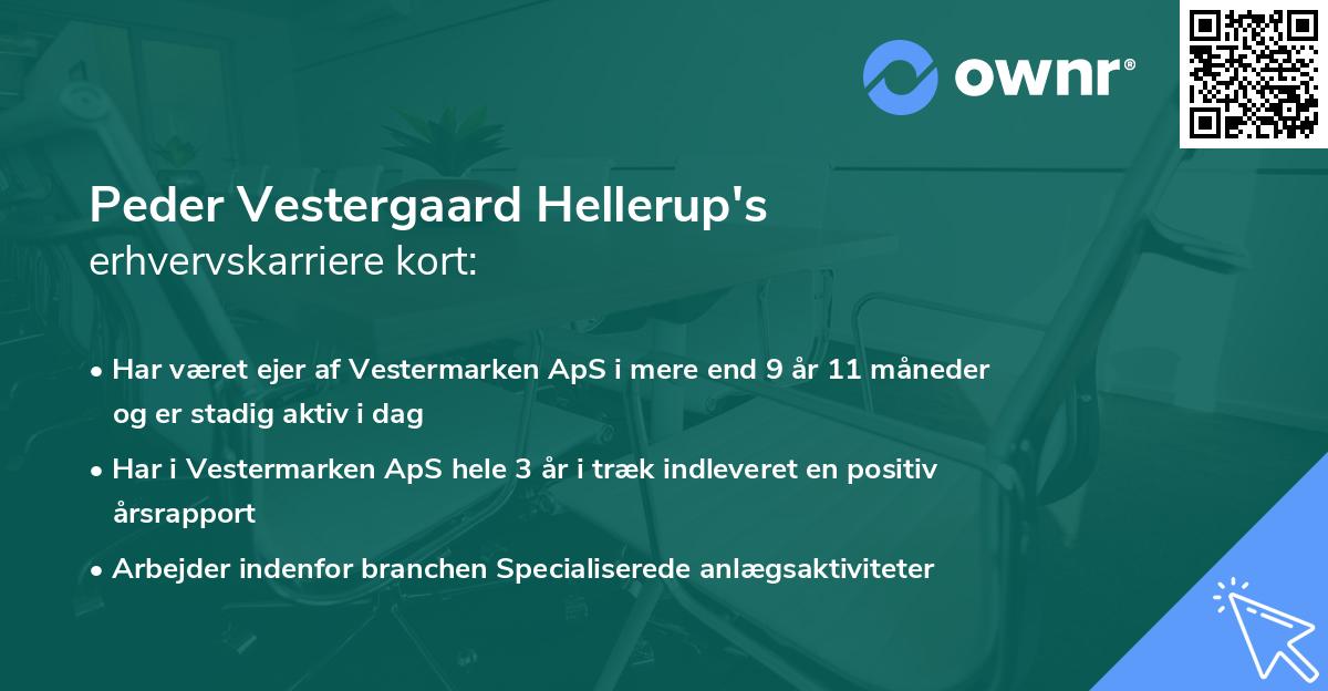 Peder Vestergaard Hellerup's erhvervskarriere kort