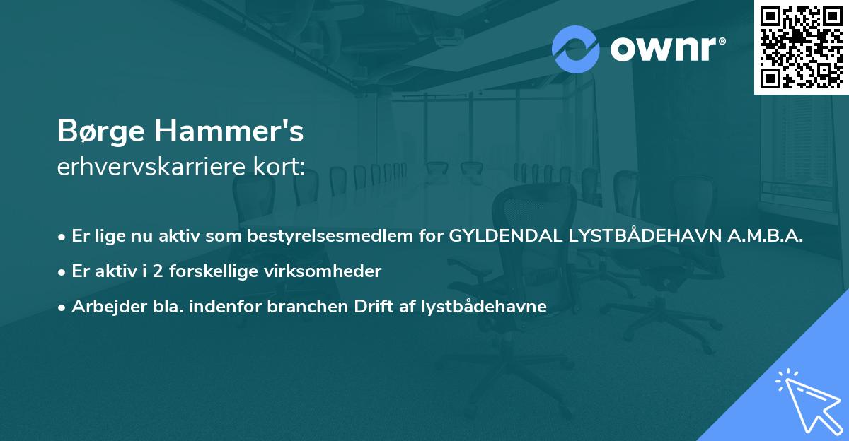 Børge Hammer's erhvervskarriere kort