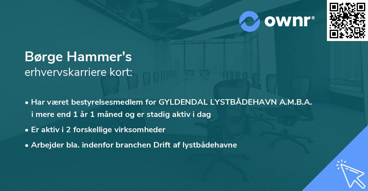 Børge Hammer's erhvervskarriere kort