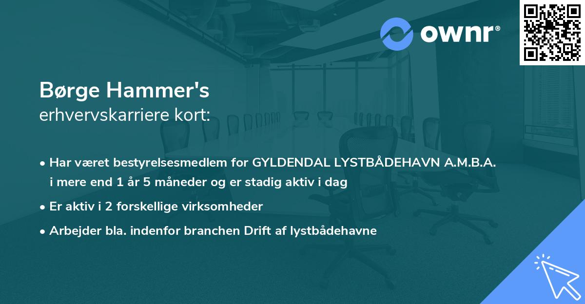 Børge Hammer's erhvervskarriere kort