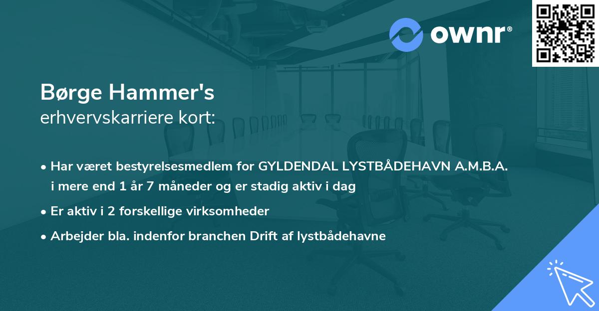 Børge Hammer's erhvervskarriere kort