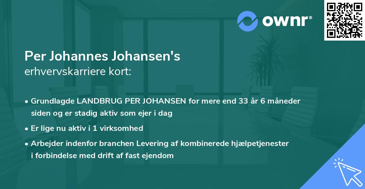 Per Johannes Johansen's erhvervskarriere kort