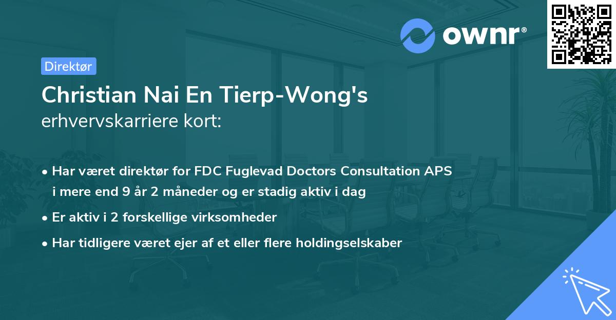 Christian Nai En Tierp-Wong's erhvervskarriere kort