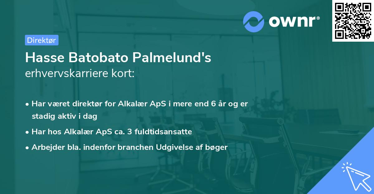 Hasse Batobato Palmelund's erhvervskarriere kort