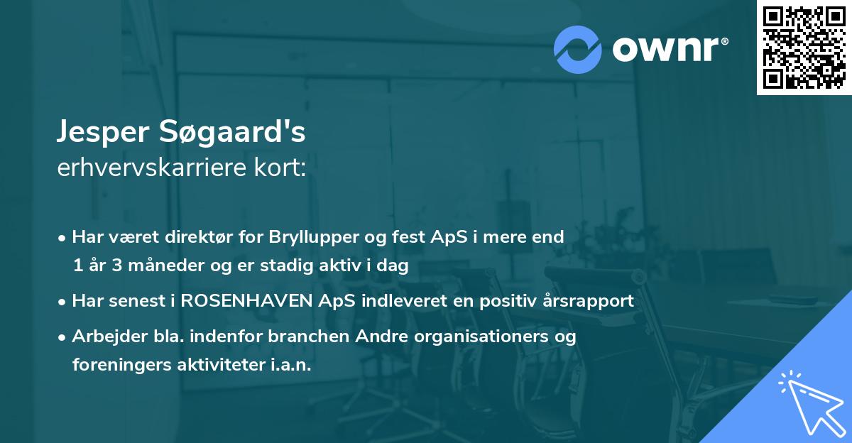 Jesper Søgaard's erhvervskarriere kort