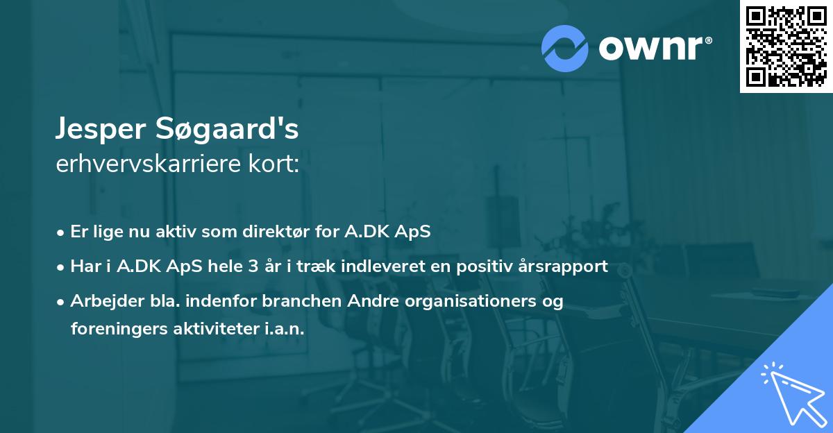 Jesper Søgaard's erhvervskarriere kort