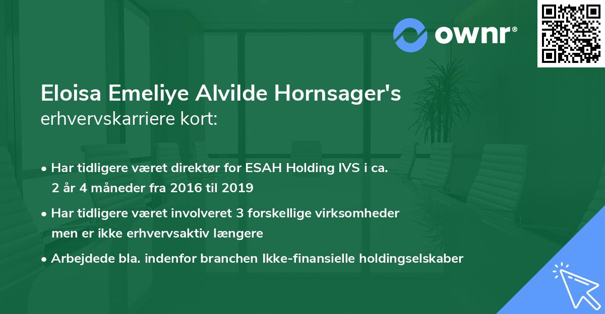 Eloisa Emeliye Alvilde Hornsager's erhvervskarriere kort