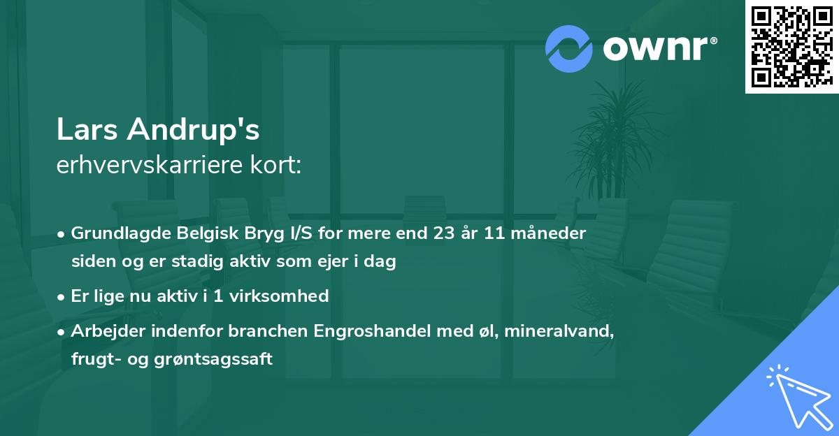 Lars Andrup's erhvervskarriere kort