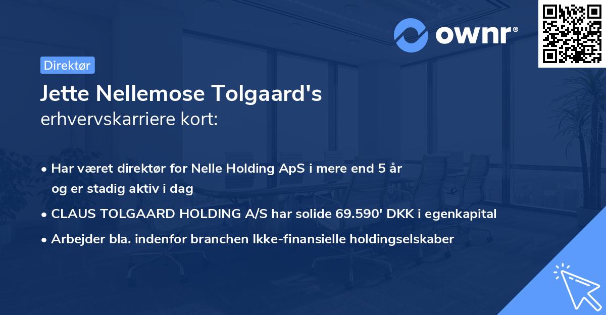Jette Nellemose Tolgaard's erhvervskarriere kort