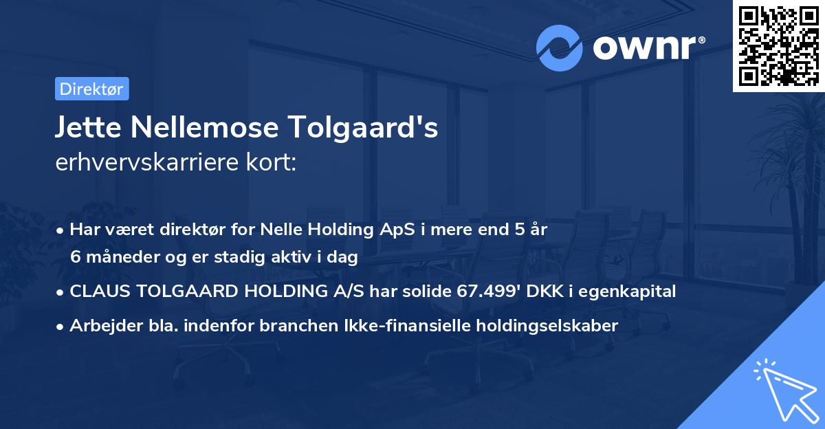 Jette Nellemose Tolgaard's erhvervskarriere kort