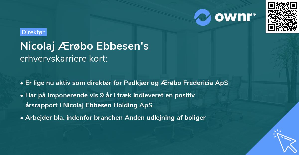 Nicolaj Ærøbo Ebbesen's erhvervskarriere kort