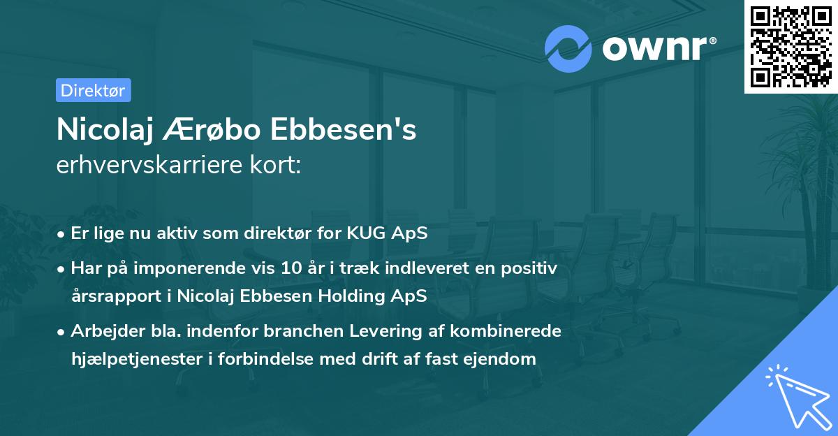 Nicolaj Ærøbo Ebbesen's erhvervskarriere kort