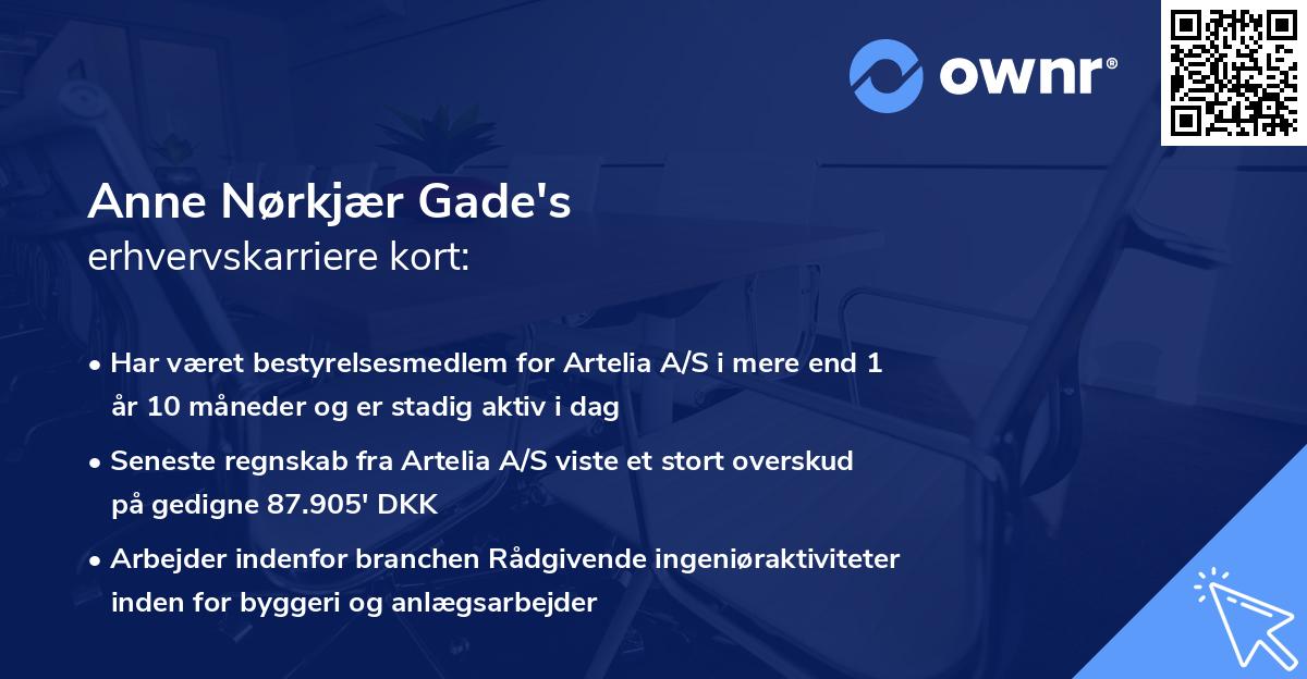Anne Nørkjær Gade's erhvervskarriere kort