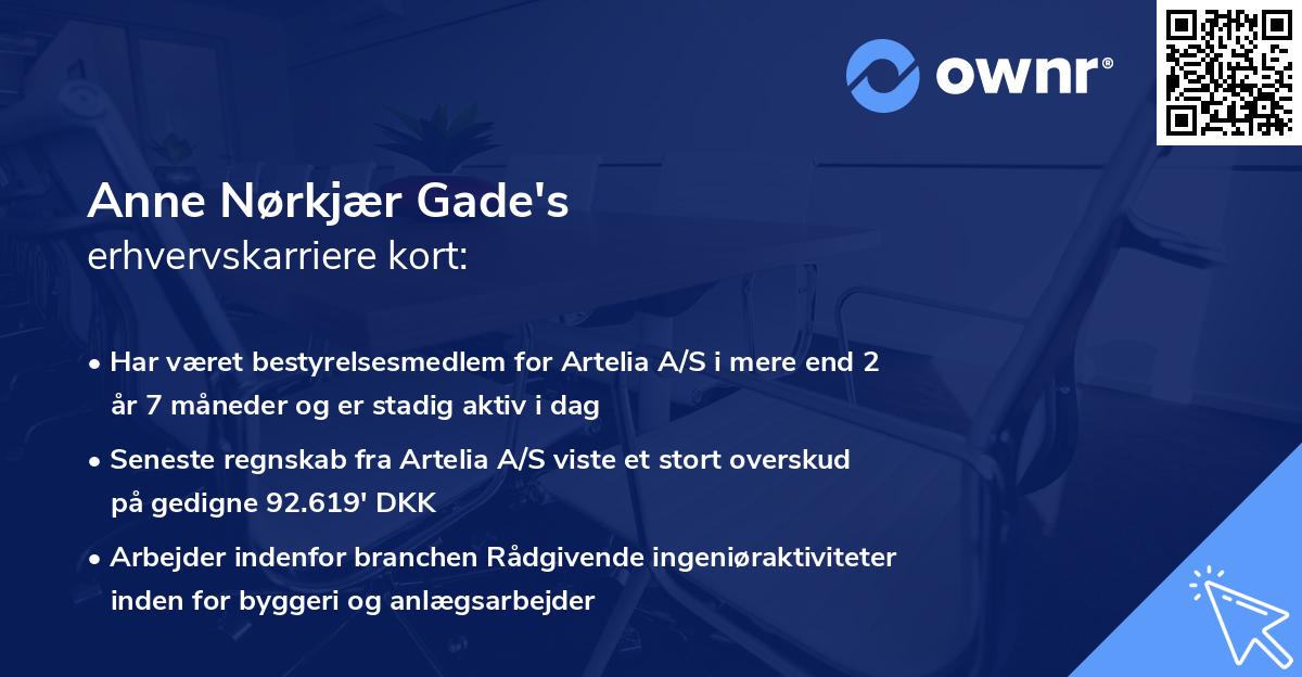 Anne Nørkjær Gade's erhvervskarriere kort