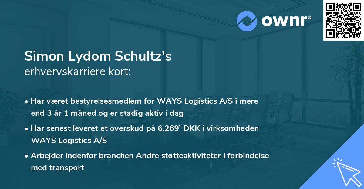 Simon Lydom Schultz's erhvervskarriere kort