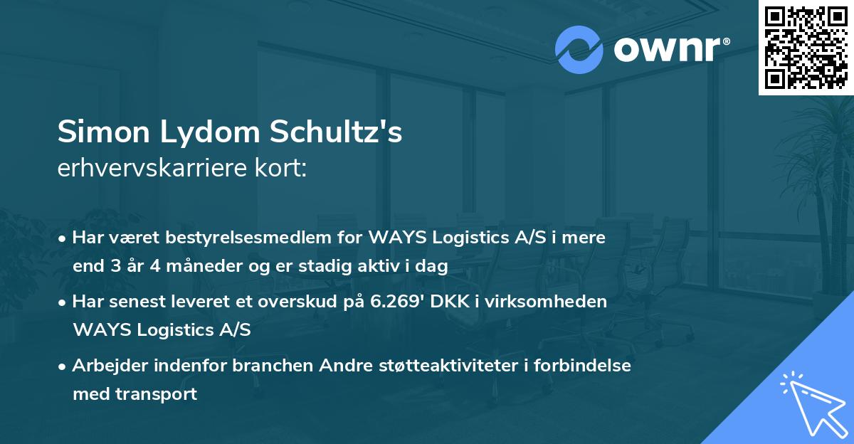 Simon Lydom Schultz's erhvervskarriere kort