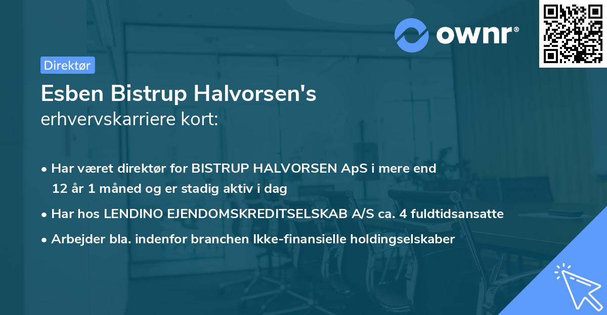 Esben Bistrup Halvorsen's erhvervskarriere kort